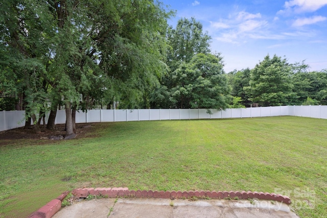 3807 Sweetgrass Ln, Charlotte, NC 28226 - view of yard