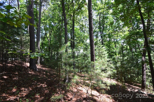 3223 Lake Pointe Dr Unit 94, Belmont, NC 28012