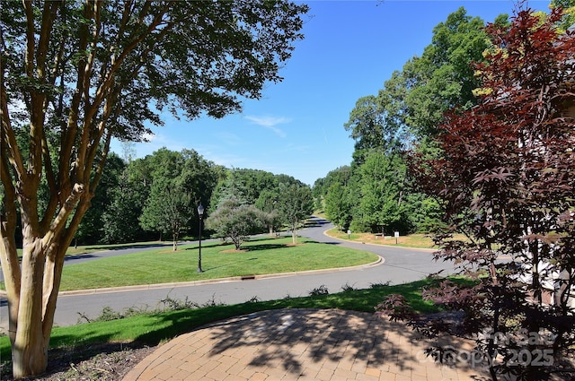 3223 Lake Pointe Dr Unit 94, Belmont, NC 28012 - photo 16