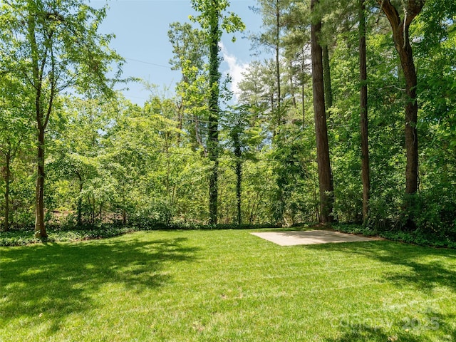 330 Balsam Rd, Hendersonville, NC 28792 - view of grassy yard with a patio area