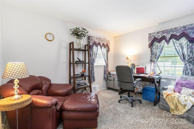 1104 Colony Ct, Gastonia, NC 28056 - view of carpeted office