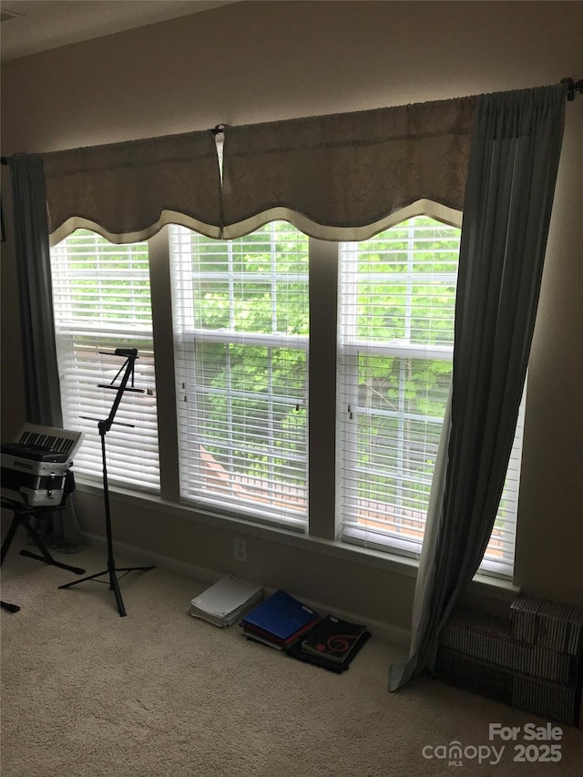 19157 Mallard Dr, Fort Mill, SC 29707 - workout room with carpet flooring and baseboards