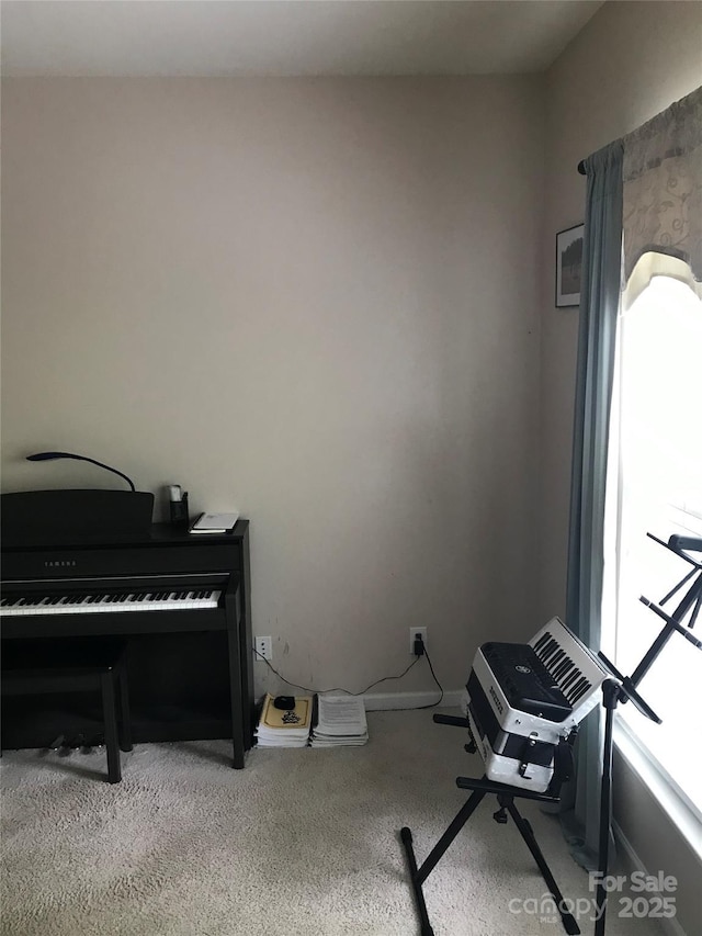 19157 Mallard Dr, Fort Mill, SC 29707 - carpeted office with healthy amount of natural light