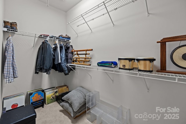 19157 Mallard Dr, Fort Mill, SC 29707 - walk in closet featuring carpet flooring