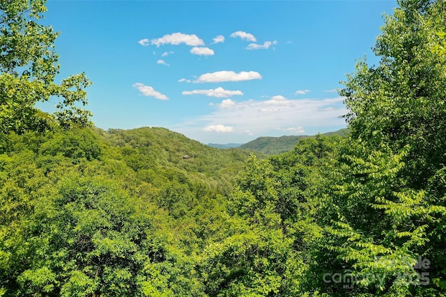 145 Old Still Rd, Maggie Valley, NC 28751 - view of mountain backdrop featuring a forest