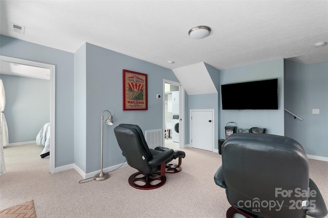 145 Old Still Rd, Maggie Valley, NC 28751 - home theater featuring carpet flooring, washer / clothes dryer, and baseboards