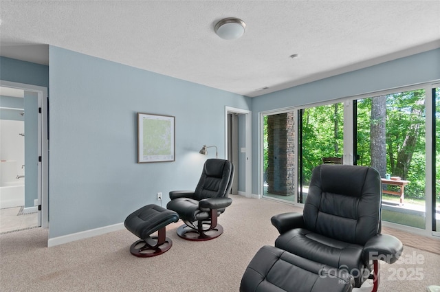 145 Old Still Rd, Maggie Valley, NC 28751 - sitting room featuring a textured ceiling, light colored carpet, and baseboards
