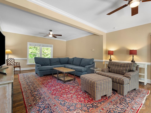 1010 Arabian Farm Rd, Clover, SC 29710 - living area with ceiling fan, wood finished floors, and crown molding