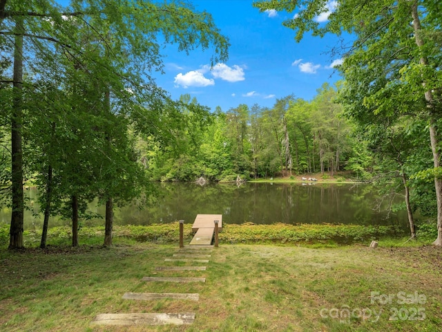1010 Arabian Farm Rd, Clover, SC 29710 - view of yard featuring a view of trees and a water view