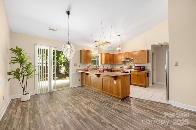 172 Valleybrook Dr Unit 8, Denver, NC 28037 - kitchen featuring under cabinet range hood, appliances with stainless steel finishes, a peninsula, light wood-type flooring, and brown cabinets