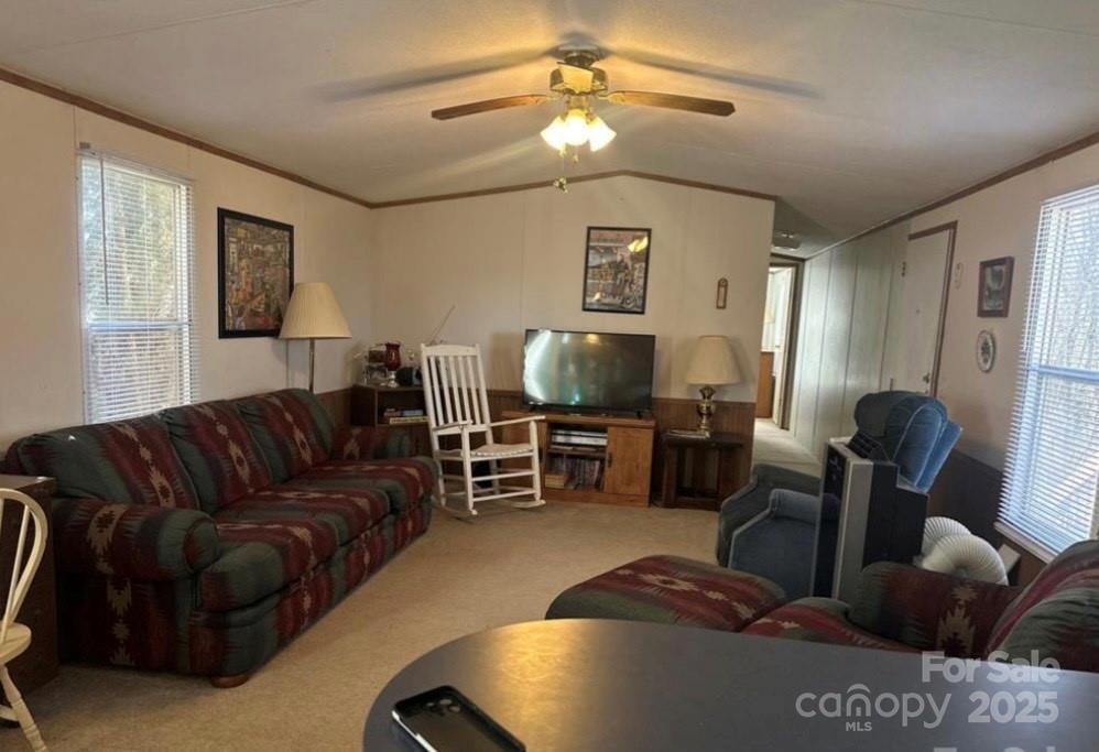160 Aquarius Rd, Canton, NC 28716 - photo 3