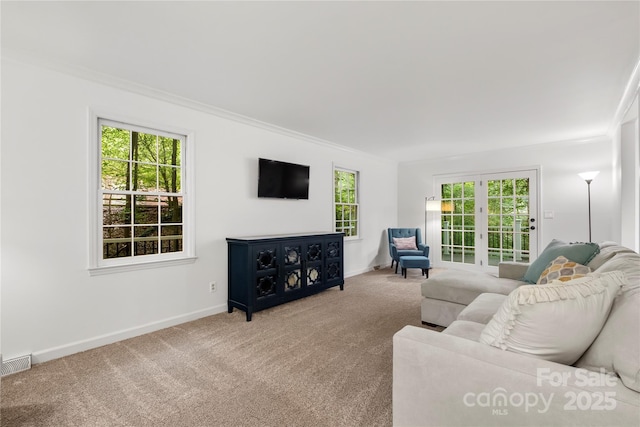 5016 Celeste Ct, Charlotte, NC 28270 - living room featuring ornamental molding, healthy amount of natural light, carpet flooring, and baseboards