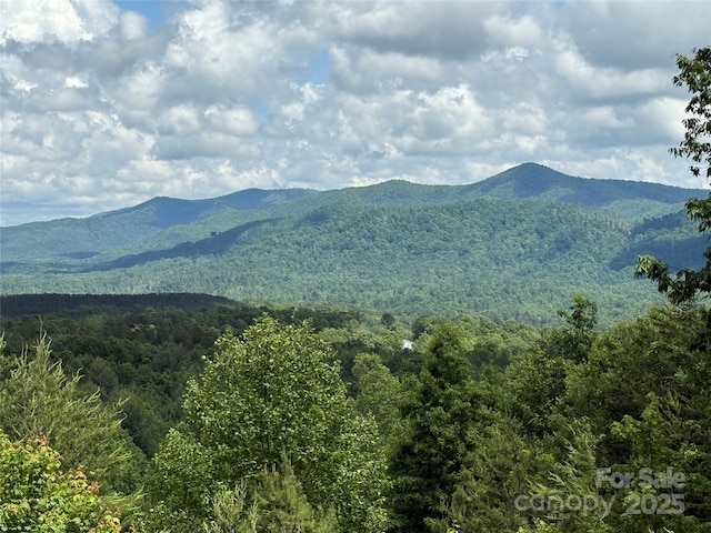 113 Valley View Trl Unit 323, Nebo, NC 28761