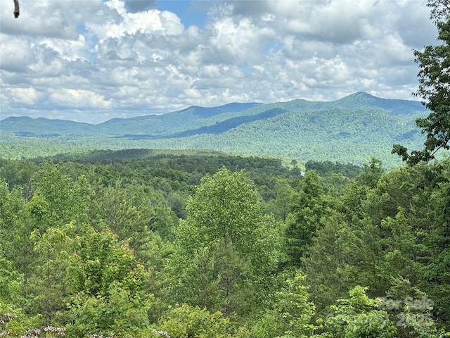 113 Valley View Trl Unit 323, Nebo, NC 28761