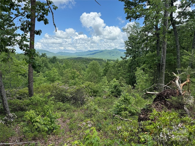 113 Valley View Trl Unit 323, Nebo, NC 28761