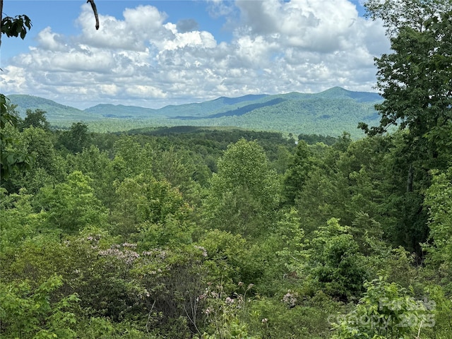 113 Valley View Trl Unit 323, Nebo, NC 28761