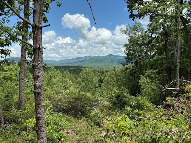 113 Valley View Trl Unit 323, Nebo, NC 28761