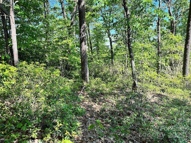 113 Valley View Trl Unit 323, Nebo, NC 28761