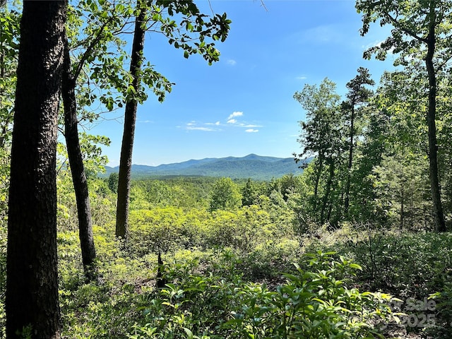 113 Valley View Trl Unit 323, Nebo, NC 28761