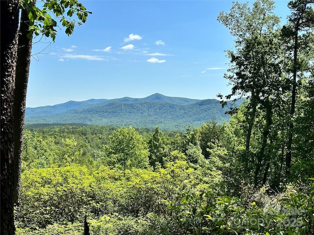 113 Valley View Trl Unit 323, Nebo, NC 28761