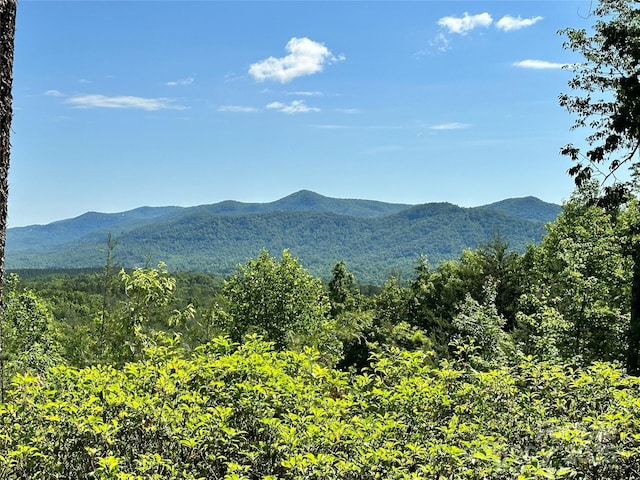 113 Valley View Trl Unit 323, Nebo, NC 28761