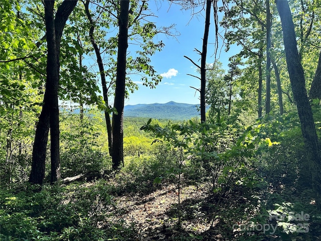 113 Valley View Trl Unit 323, Nebo, NC 28761