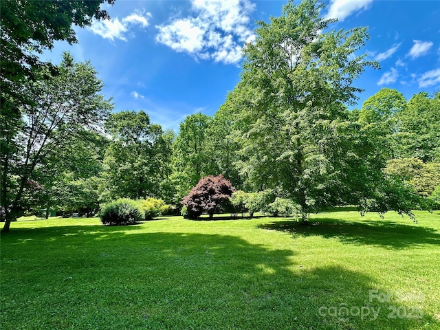 2866 Old Morganton Rd, Lenoir, NC 28645 - view of green lawn