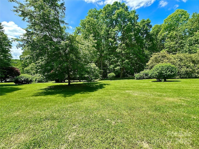 2866 Old Morganton Rd, Lenoir, NC 28645 - view of green lawn