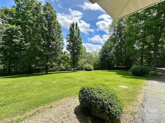 2866 Old Morganton Rd, Lenoir, NC 28645 - view of green lawn