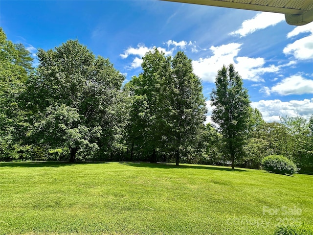 2866 Old Morganton Rd, Lenoir, NC 28645 - view of green lawn