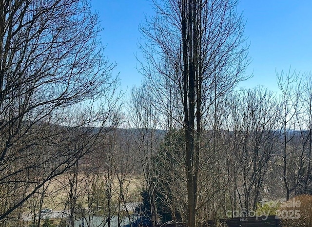 2866 Old Morganton Rd, Lenoir, NC 28645 - view of mountain backdrop featuring a forest