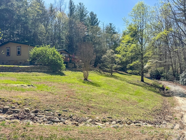 137 Onuska View Dr, Hendersonville, NC 28792 - photo 12