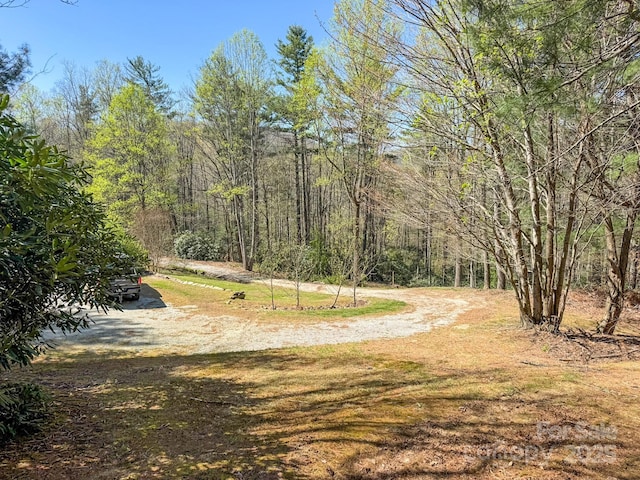 137 Onuska View Dr, Hendersonville, NC 28792 - photo 14