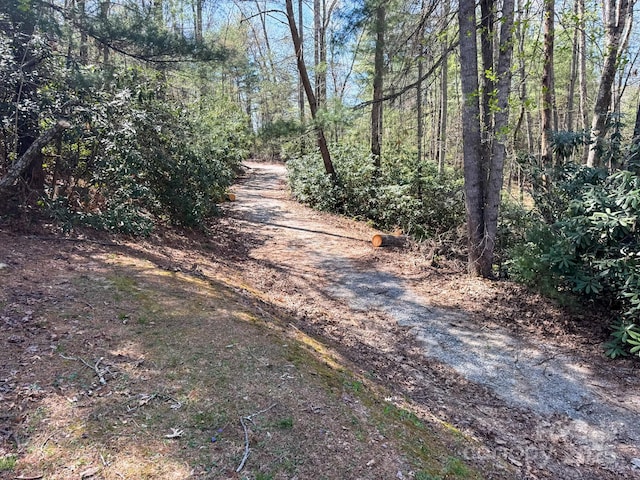 137 Onuska View Dr, Hendersonville, NC 28792 - photo 15