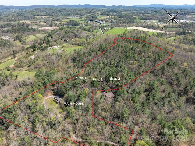 137 Onuska View Dr, Hendersonville, NC 28792 - photo 16