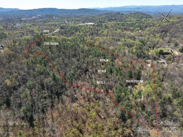 137 Onuska View Dr, Hendersonville, NC 28792 - photo 17