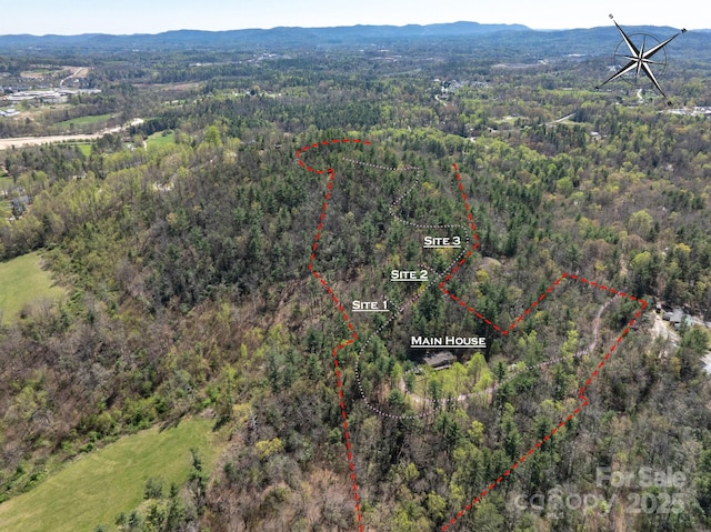 137 Onuska View Dr, Hendersonville, NC 28792 - photo 18