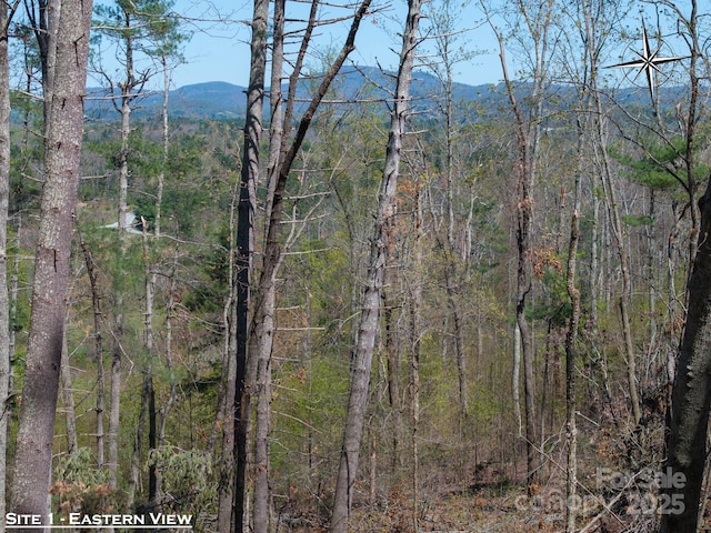 137 Onuska View Dr, Hendersonville, NC 28792 - photo 20