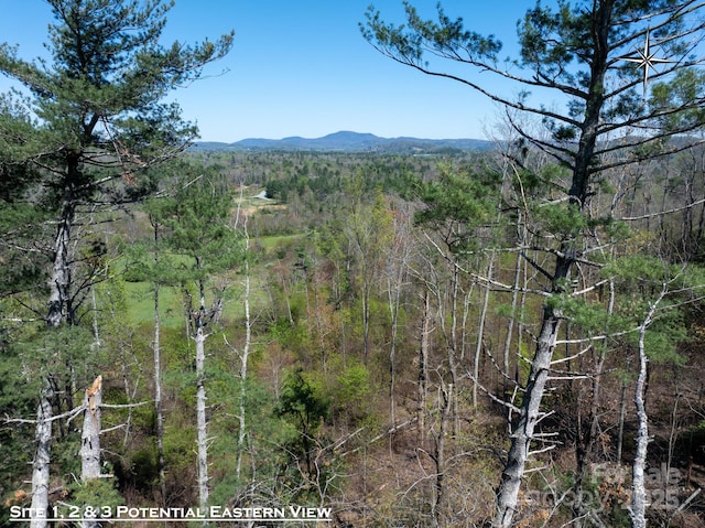 137 Onuska View Dr, Hendersonville, NC 28792 - photo 21