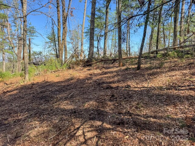137 Onuska View Dr, Hendersonville, NC 28792 - photo 23