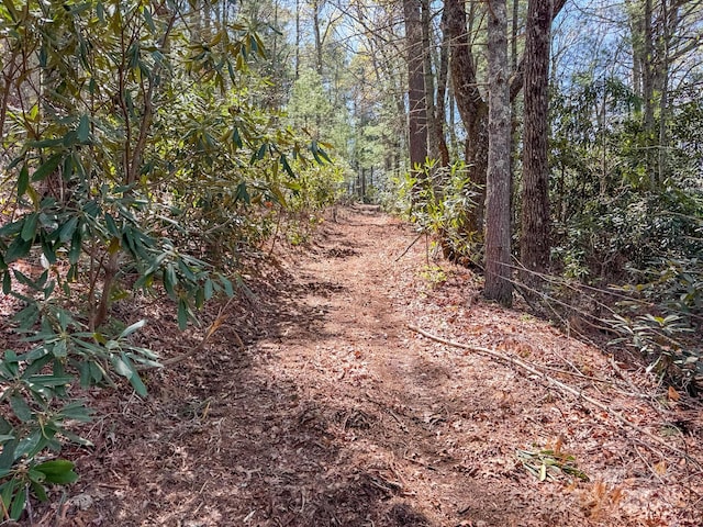 137 Onuska View Dr, Hendersonville, NC 28792 - photo 25