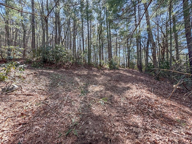 137 Onuska View Dr, Hendersonville, NC 28792 - photo 26