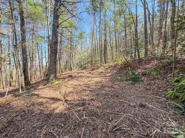 137 Onuska View Dr, Hendersonville, NC 28792 - photo 28