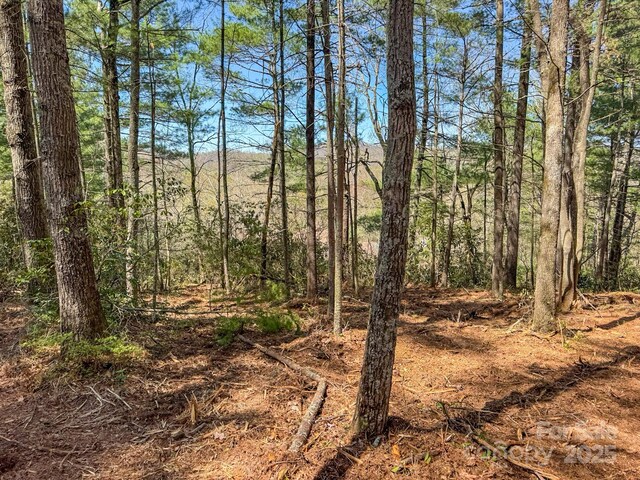 137 Onuska View Dr, Hendersonville, NC 28792 - photo 29