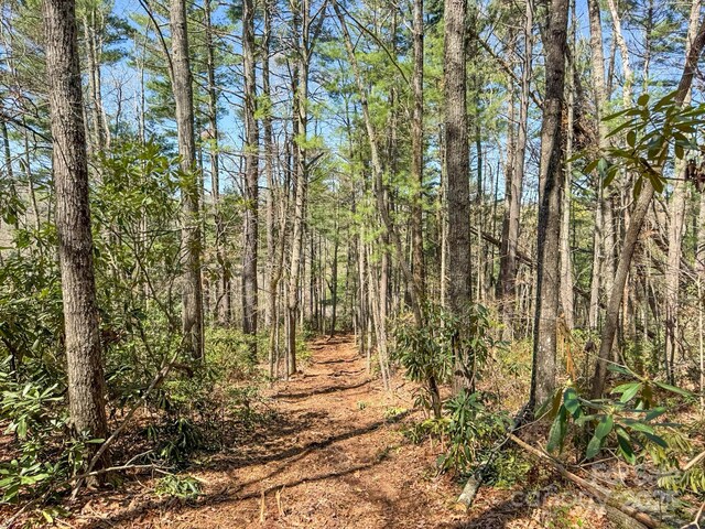 137 Onuska View Dr, Hendersonville, NC 28792 - photo 30