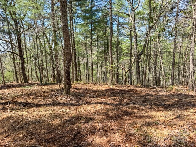 137 Onuska View Dr, Hendersonville, NC 28792 - photo 35
