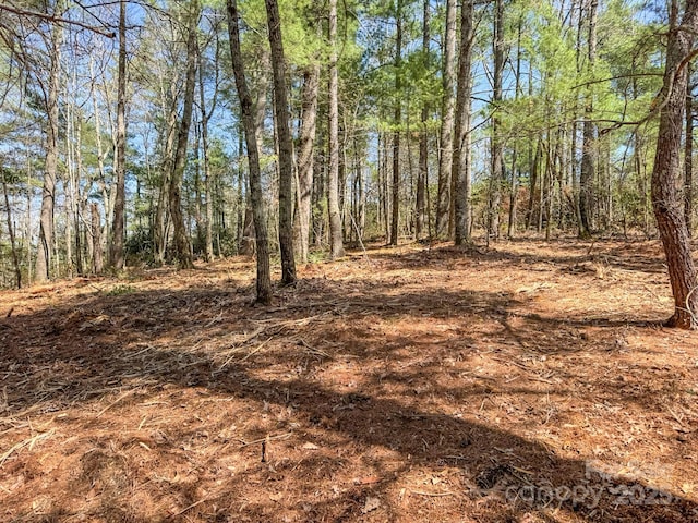 137 Onuska View Dr, Hendersonville, NC 28792 - photo 36
