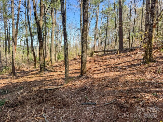 137 Onuska View Dr, Hendersonville, NC 28792 - photo 40
