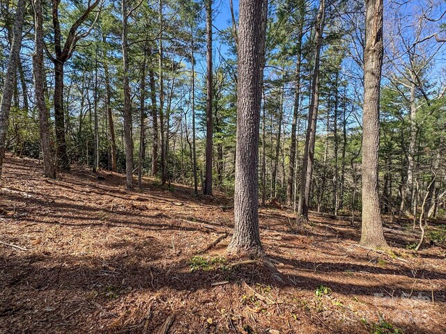 137 Onuska View Dr, Hendersonville, NC 28792 - photo 43