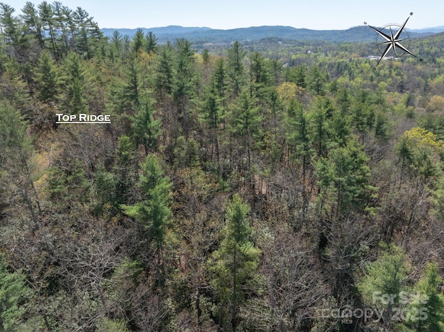 137 Onuska View Dr, Hendersonville, NC 28792 - photo 46